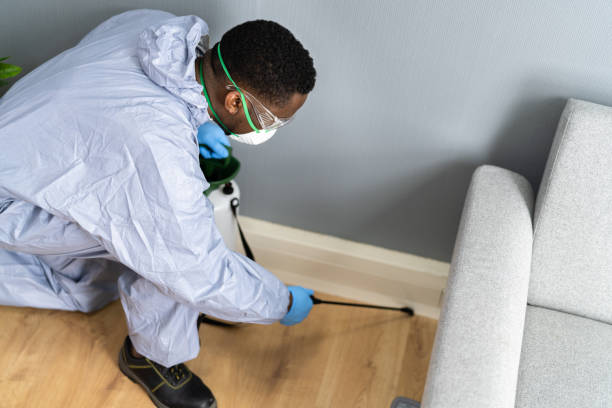 Professional Pest control in Oakbrook Terrace, IL